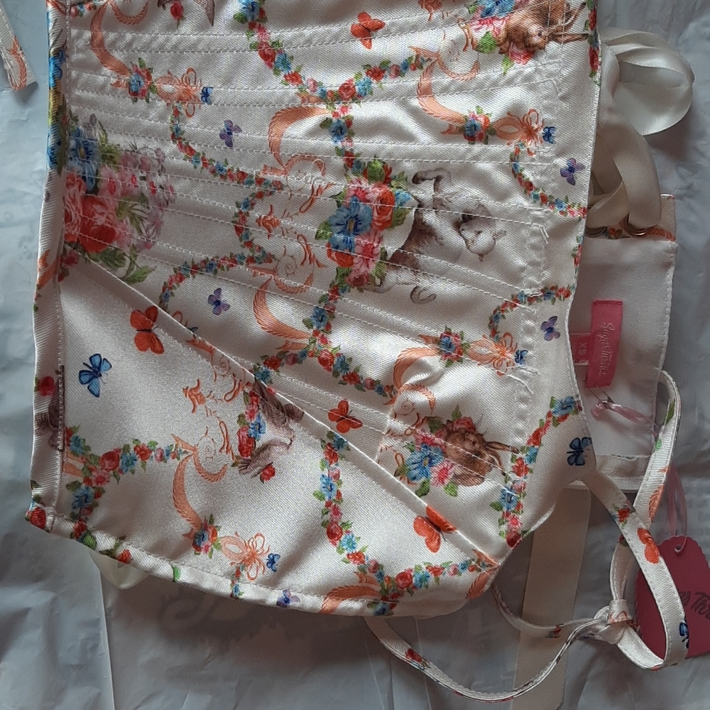 COPY - Sugar thrillz corset